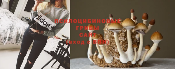 кристаллы Горнозаводск