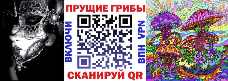 закладка  Воронеж  Галлюциногенные грибы Psilocybe 